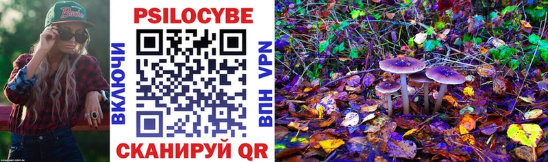 Купить закладки  Ершов  Галлюциногенные грибы GOLDEN TEACHER 